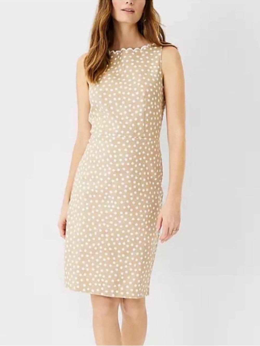 New Ann Taylor Wms Cotton Dotted Scalloped Neck Midi Sheath Preppy Chic Dress 8
